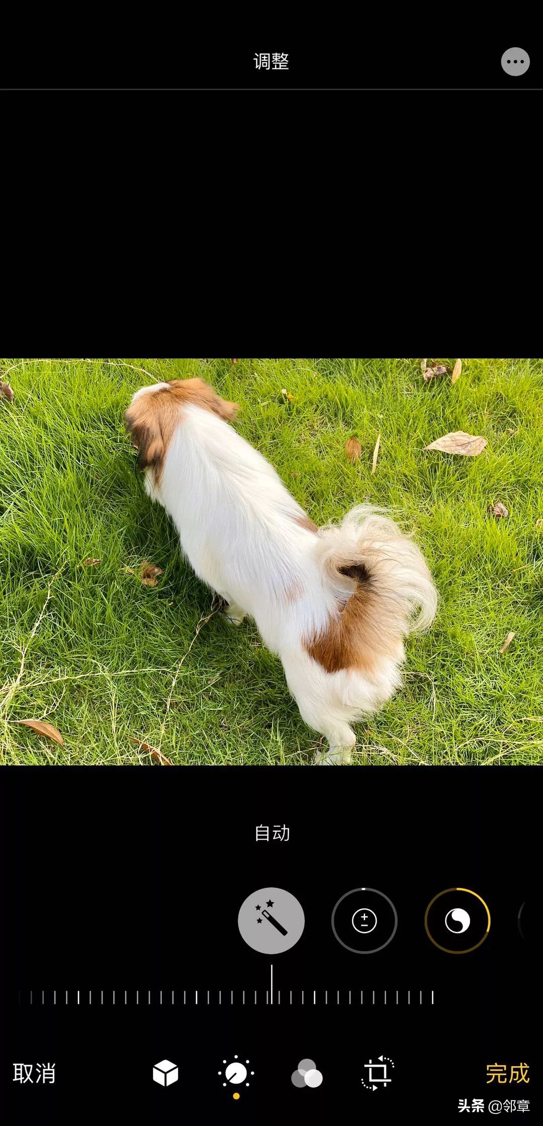 iphone11promax改双卡,iphone11promax深度使用体验