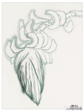 芭蕉叶画法教程,国画芭蕉画法视频