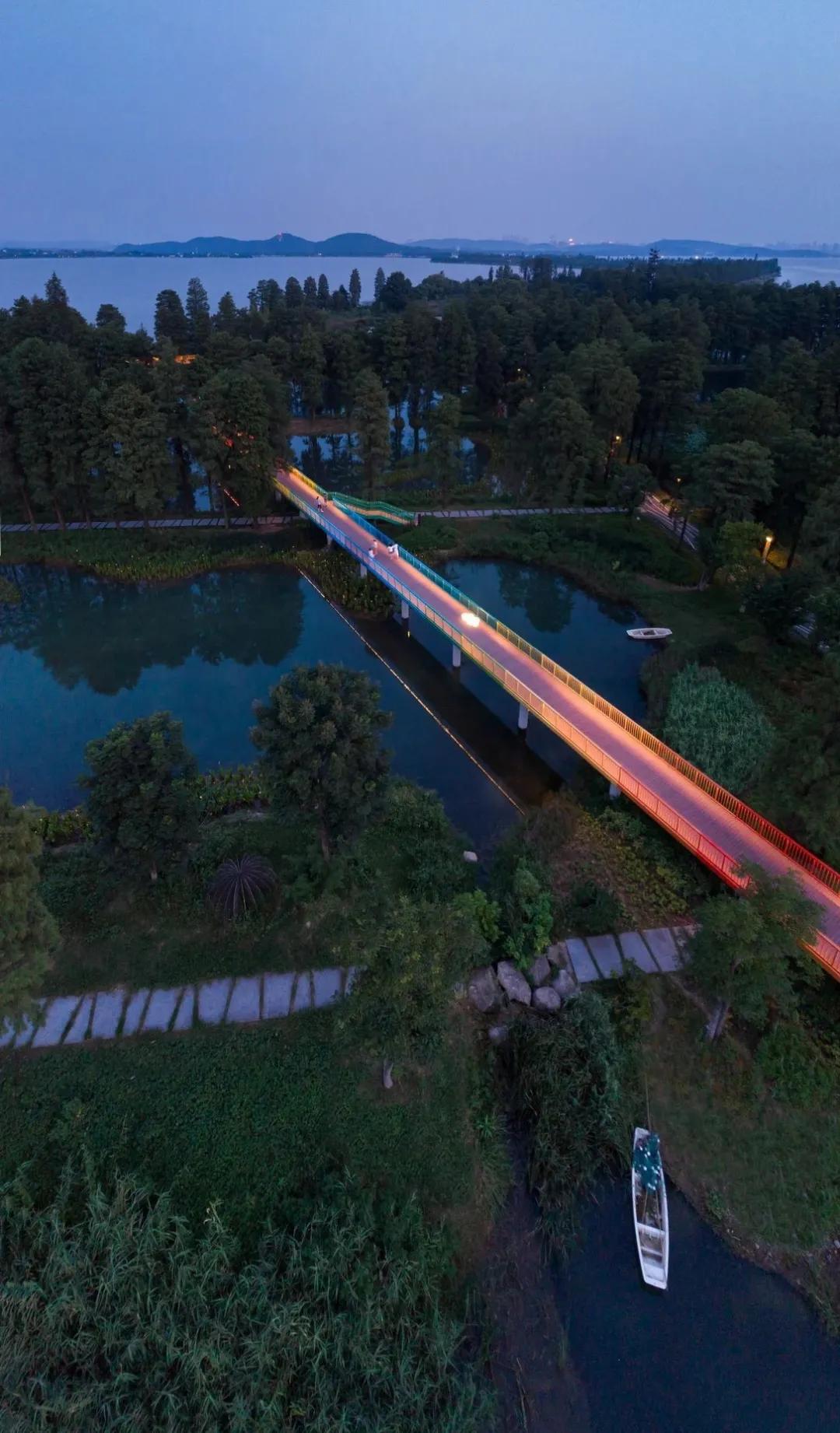 武汉华侨城湿地公园绿化,华侨城生态湿地公园武汉什么区