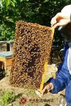 罗庄这家企业被评为“临沂老字号”！他家的牌子你都吃过用过吗？