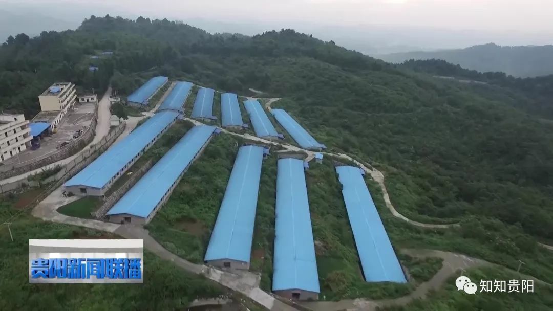 贵阳农投集团有限公司,贵阳农投集团长顺