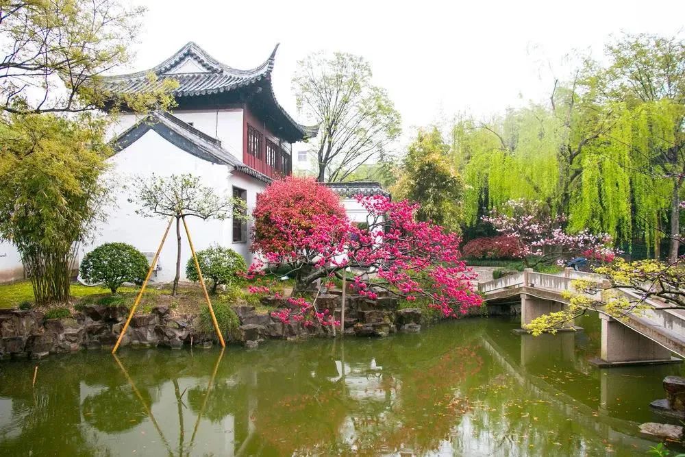 足球公园开了吗,足球公园对外开放