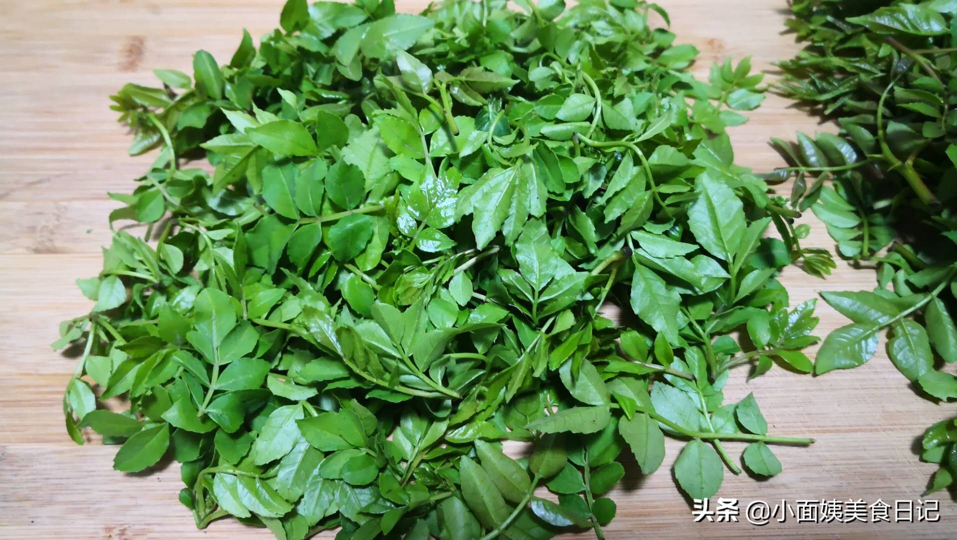 采摘花椒妙招,摘花椒前椒芽怎么处理