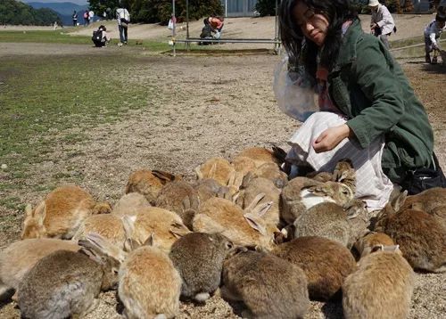 农村致富的10个门路,农村山沟适合做什么生意