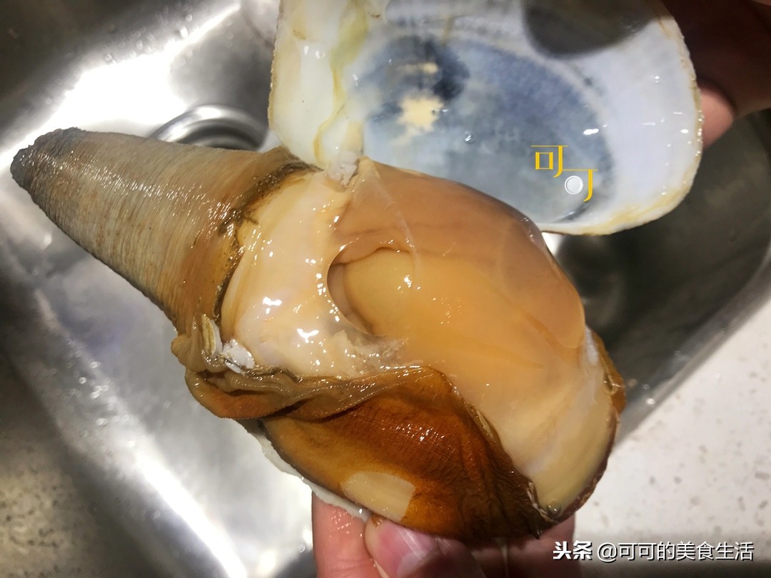 日式象拔蚌刺身制作全过程,最新象拔蚌刺身制作全过程