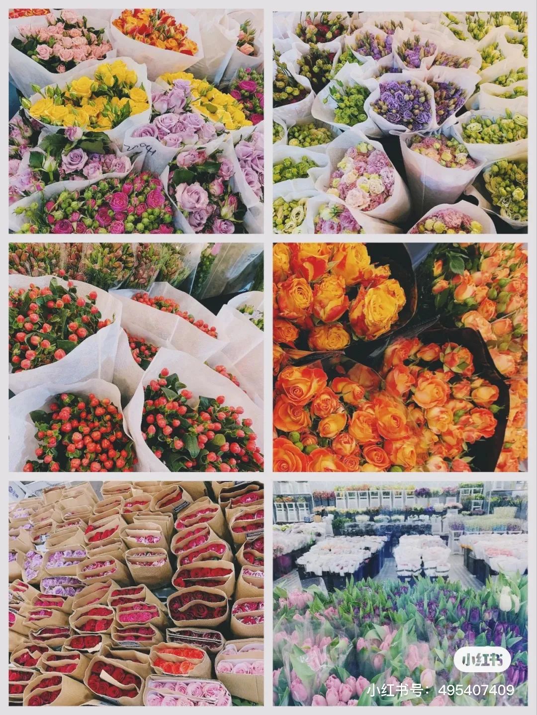 上海冬天一定要做的十件事,在上海生活中必须知道的100件事