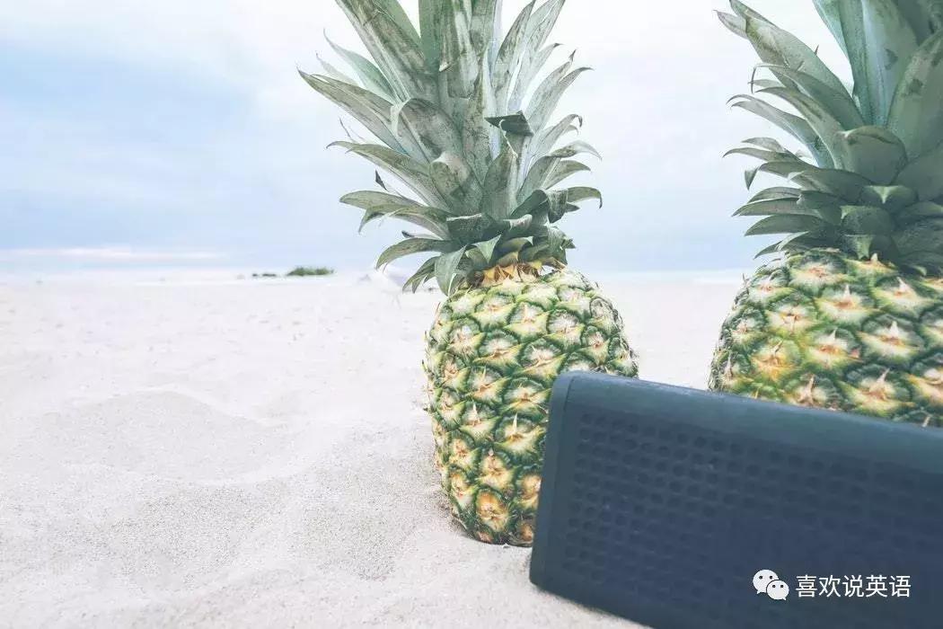 easydoesit什么意思,easydoesit来源