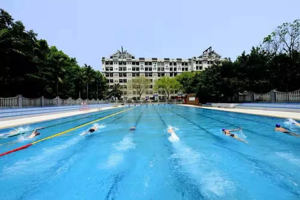 面向未来培养学生核心素养,面向未来更应该注重综合素质培养