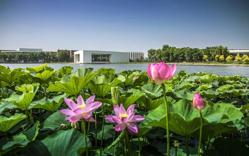 让那熟悉的旋律《绿岛》，带你我推开新学期的大门！