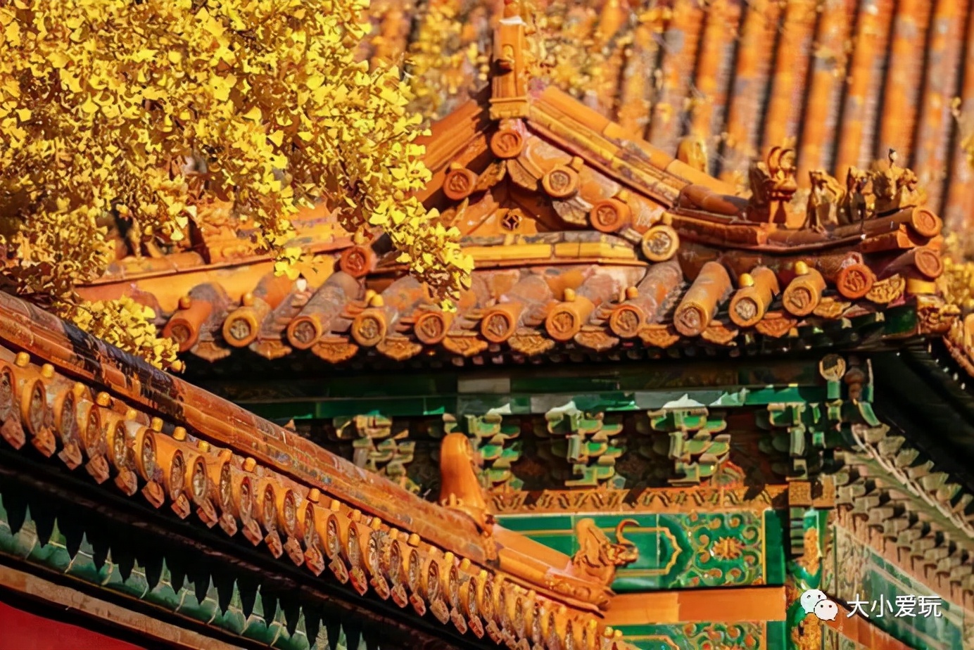 北京红螺寺银杏最佳观赏时间,北京赏银杏景区有哪些