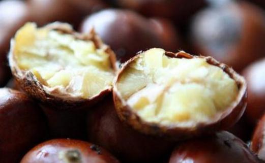 游四方全部视频,游四方四川