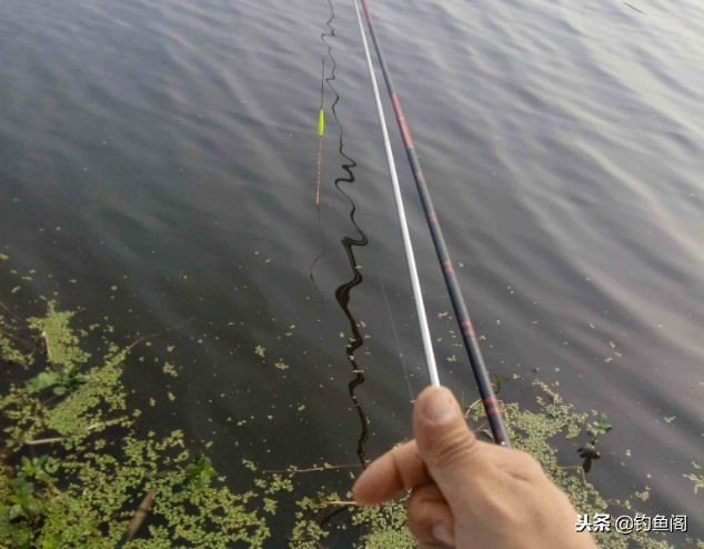 鱼竿太长看不清浮漂怎么办,鱼竿太长提不动怎么办