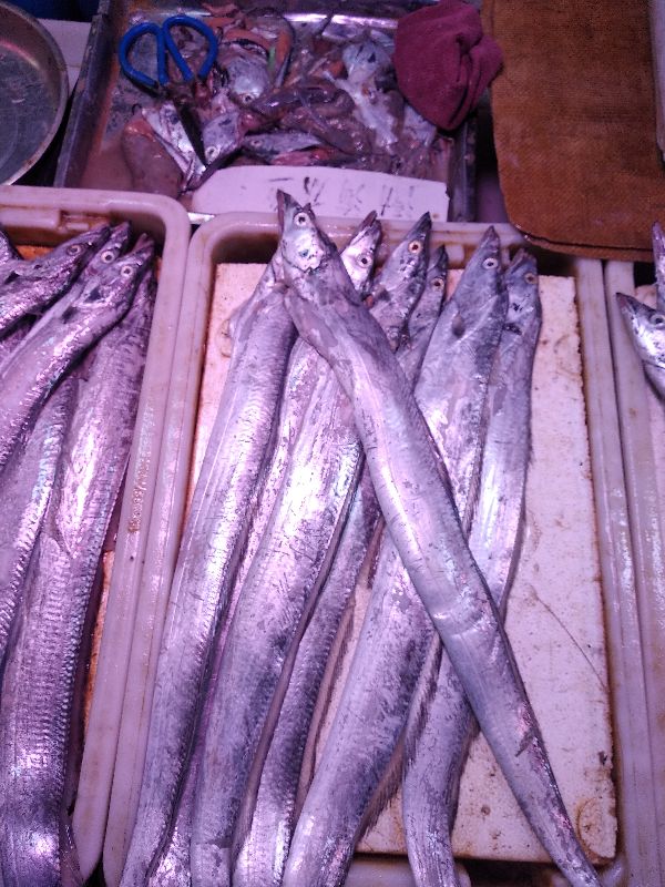 市场上这6种鱼放心购买,市场上卖的鱼哪些是不能养殖的