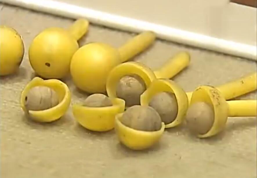 老中医陈李济补气血养生汤,中药陈李济是大品牌吗