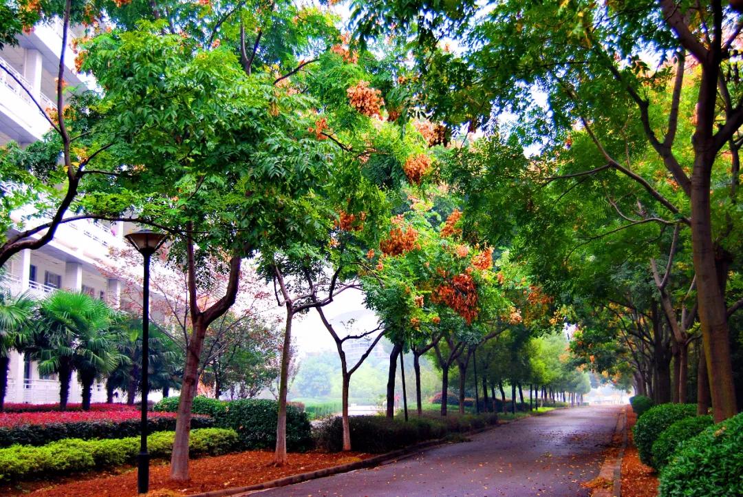 南京河西公办中学,南京河西哪几所学校是公办的