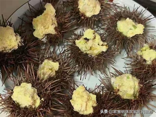 海王九岛度假村选择海旭度假村,辽宁海王九岛