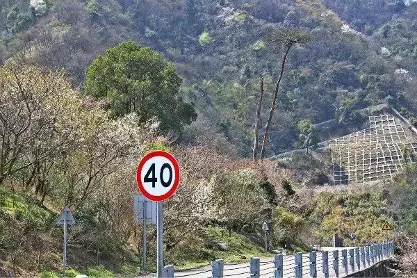 奉化樱花公园,奉化樱花谷