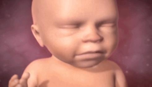 8个月的胎儿应该注意什么,8个月胎儿样子