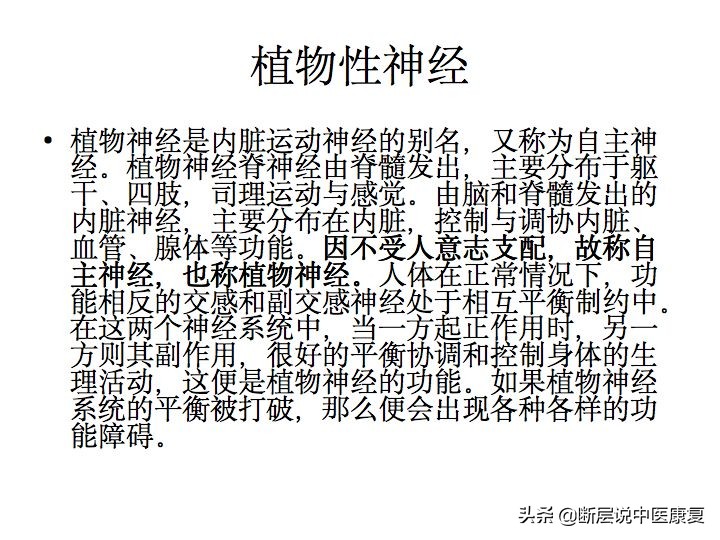 中枢神经系统断层解剖讲解,中枢神经3d解剖动画