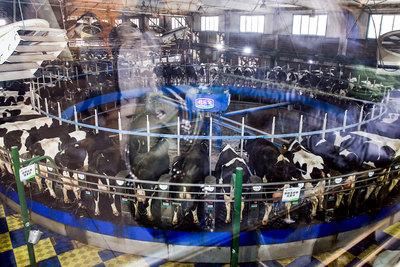 海淘奶粉进入中国,海淘发展历程