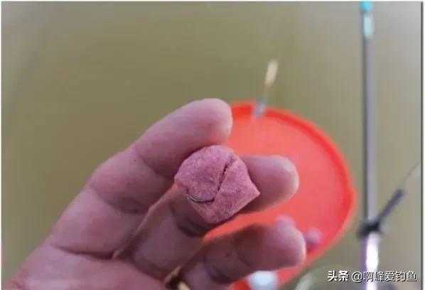 鲢鳙到底怎么钓才能钓得多,鲢鳙怎么才好钓