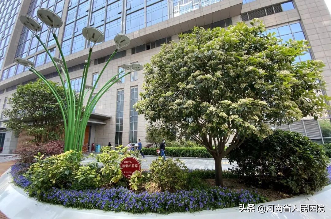 怎么防止肾功能衰竭,肾功能衰竭预防