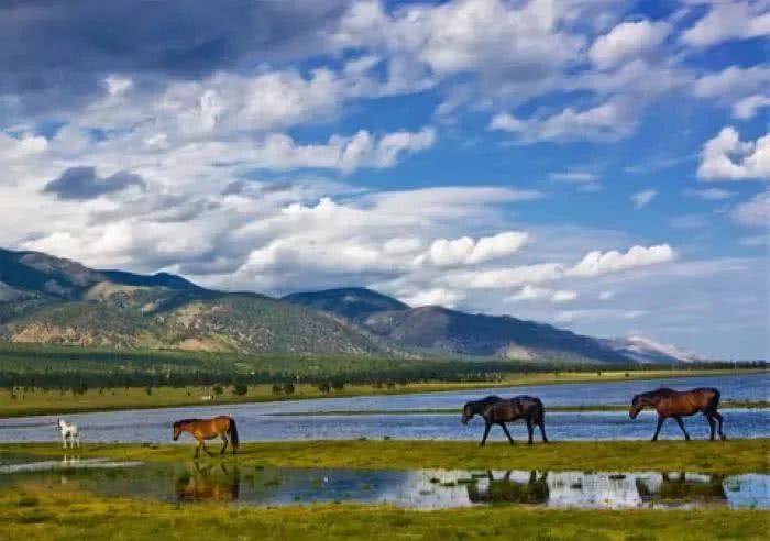 俄罗斯人是如何占领贝加尔湖的,俄罗斯人怕俄乌战争吗