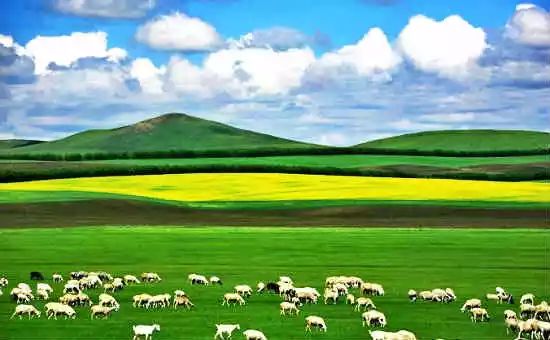 各地水果特产一览表,各地特产礼品一览表