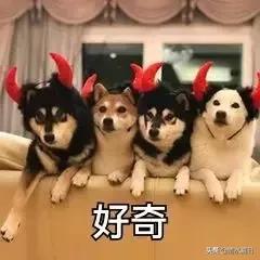 汪峰老师代言的耳机怎么样,汪峰耳机到底好不好