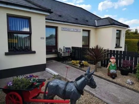 从英国回国为什么要转机,从英国回国需做哪些准备