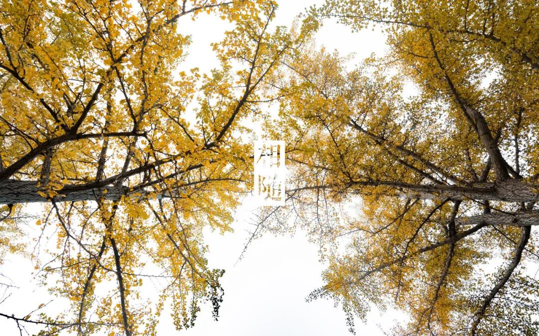 三亚和厦门哪一个更值得去旅游,三亚和厦门哪个地方值得去