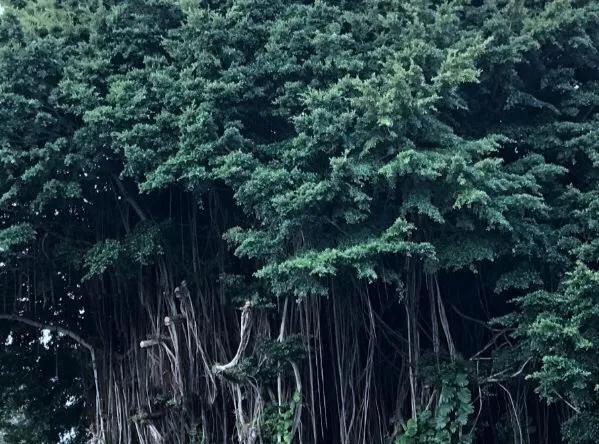 中国打日军史上最惨烈的一战,我军战胜困难靠精神力量