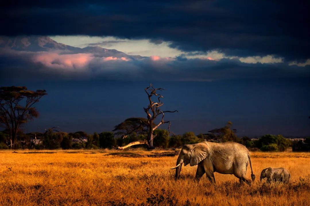 香港第14届全国摄影艺术展,第29届全国摄影艺术展览获奖名单
