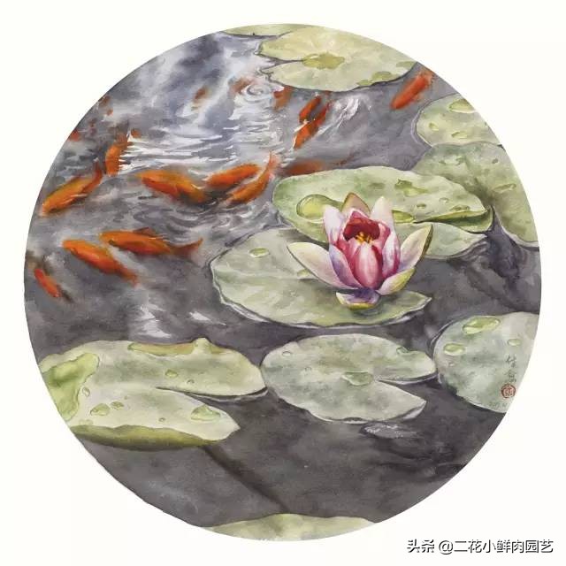 100种花卉绘画,100多张花卉线描手稿素材赶快收藏