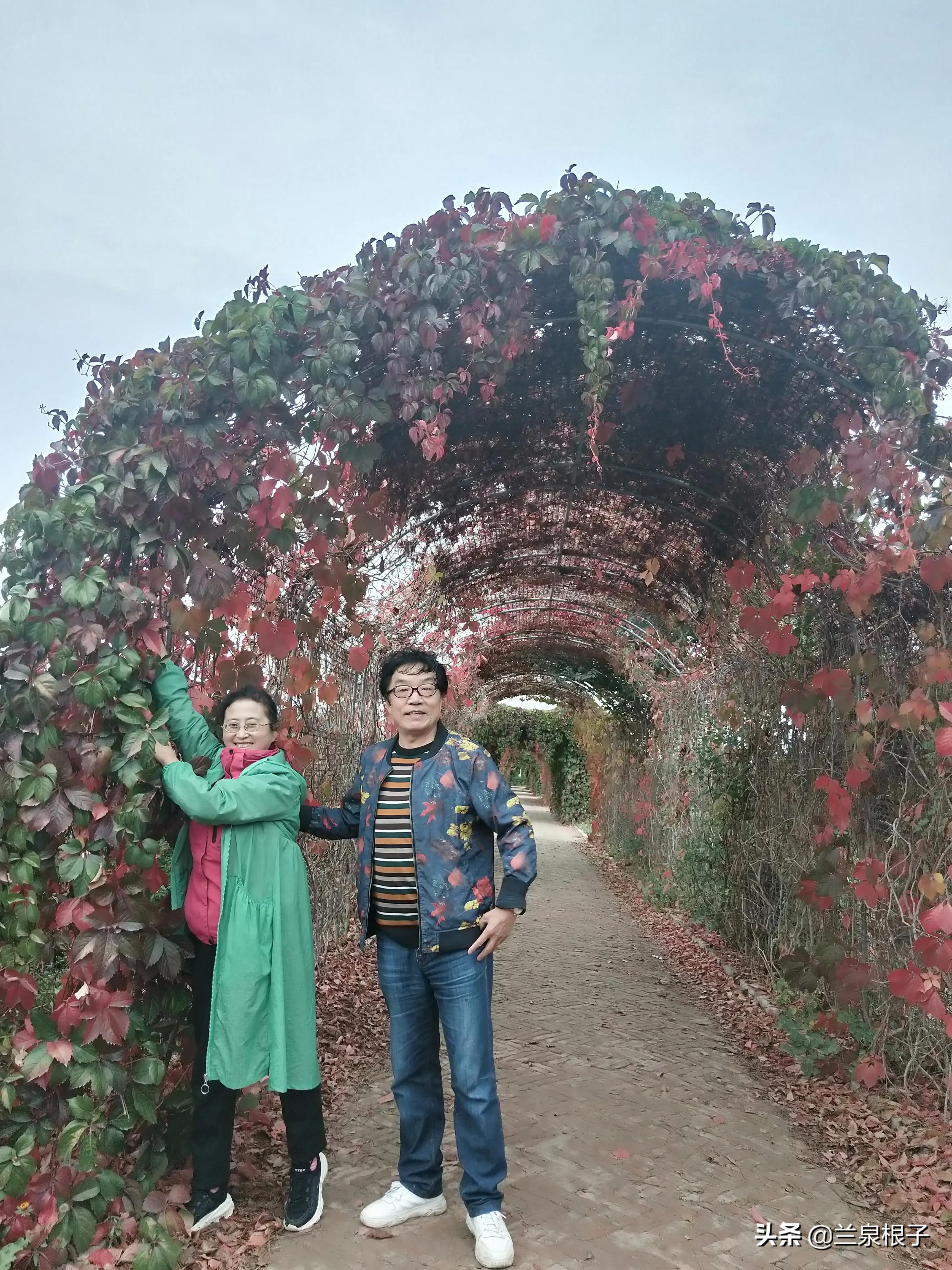 知青回忆那些年那些人那些事,那些年那些事大型知青电视连续剧