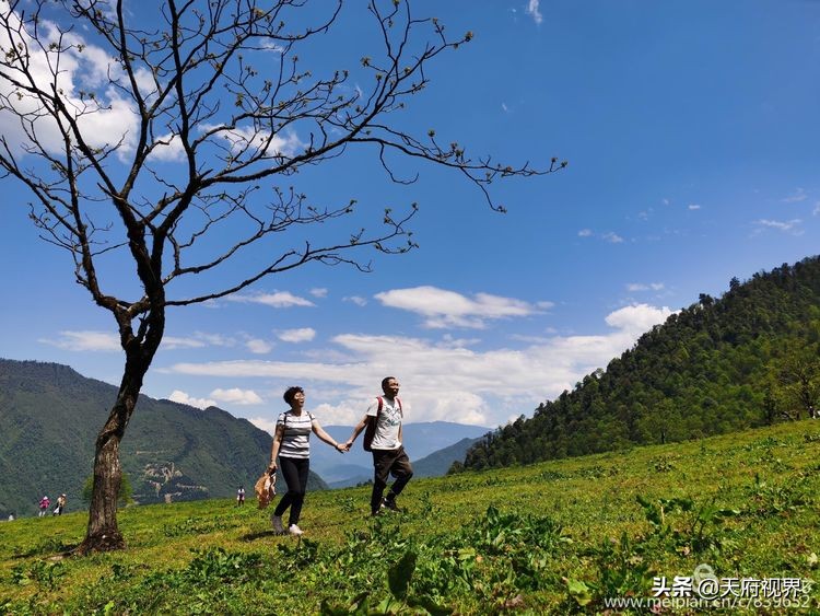 中国百慕大黑竹沟了解一下,穿越黑竹沟揭秘中国百慕大