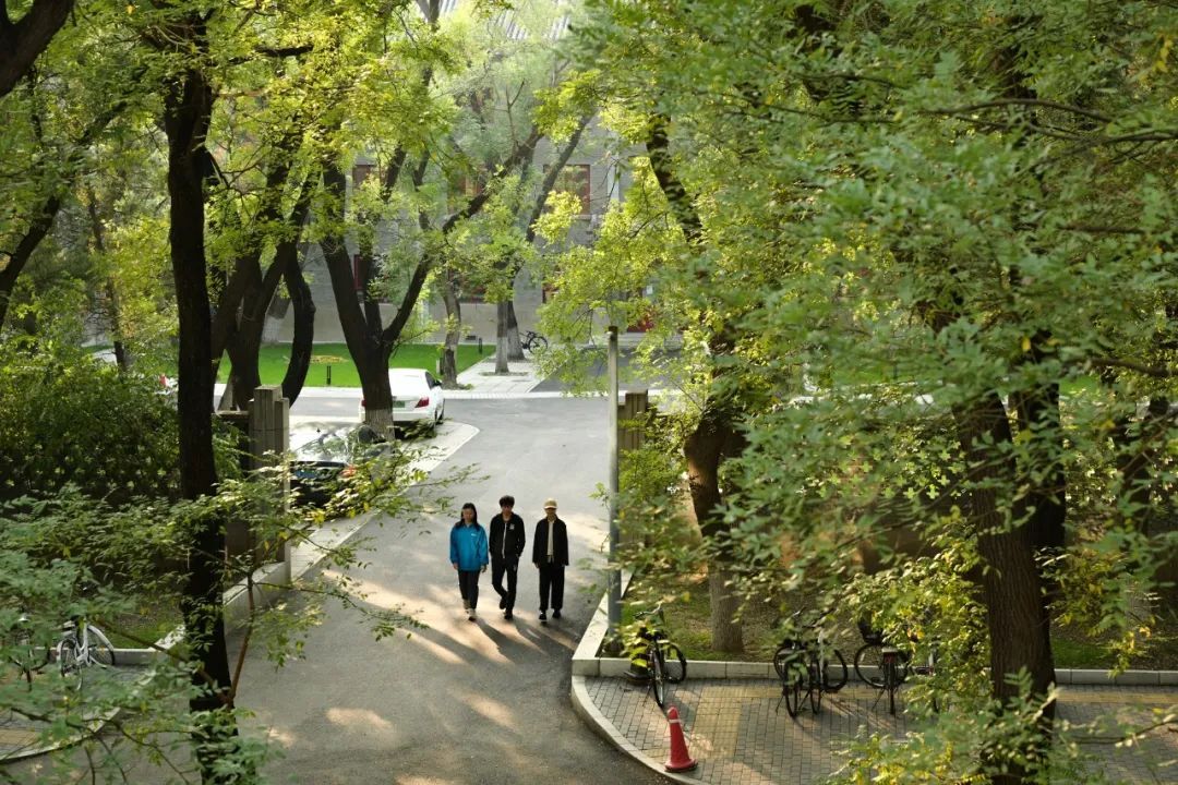 00后的学霸,北大清华00后