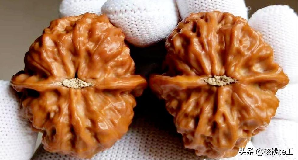 龙骨鸡心核桃是什么品种,文玩核桃鸡心属于什么品种