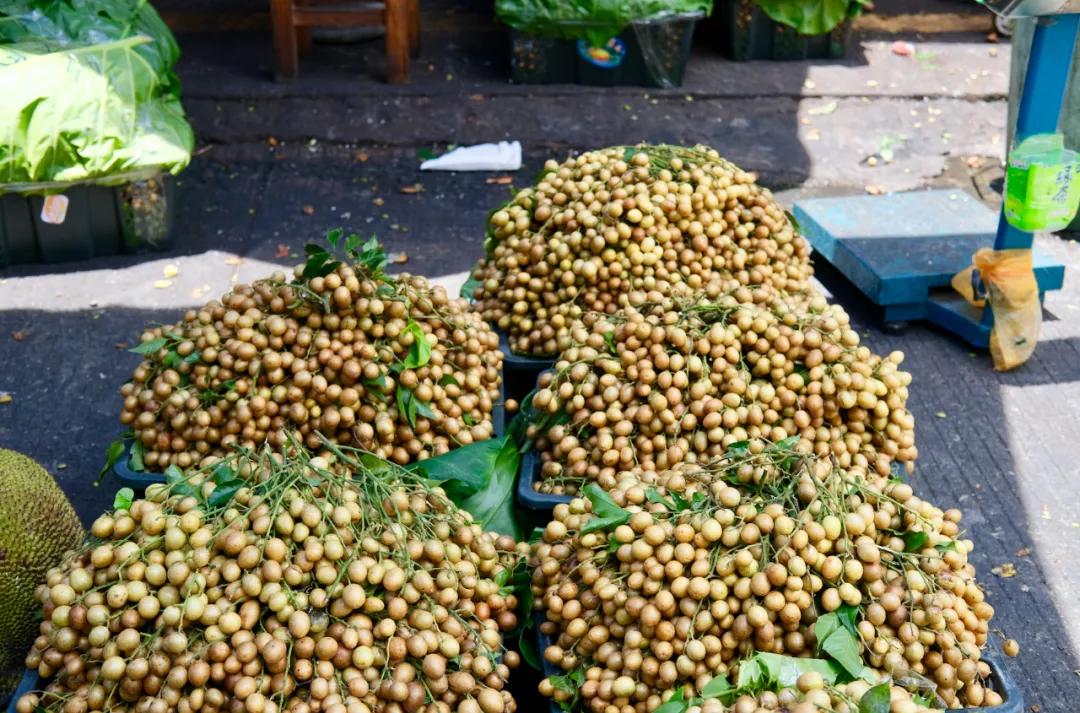 焦虑能去海口旅游吗,觉得焦虑就出来散散心