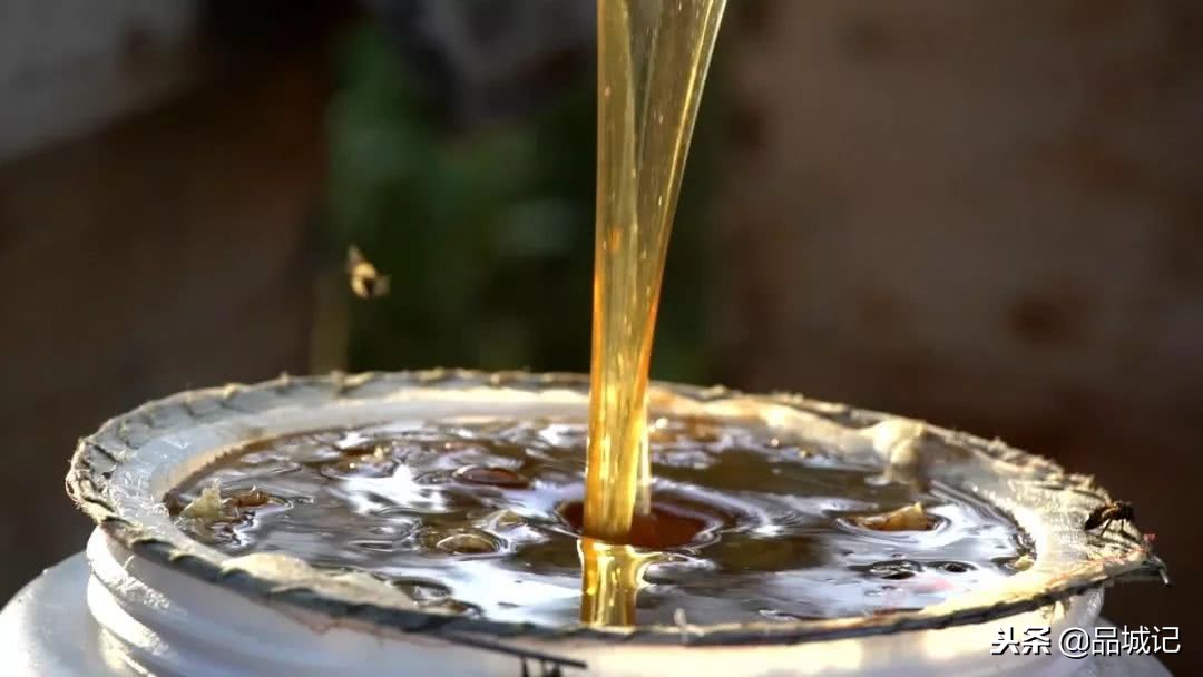 真的很honey！佐餐冲调皆宜的*疆新**伊犁黑蜂蜜，办公室必备！