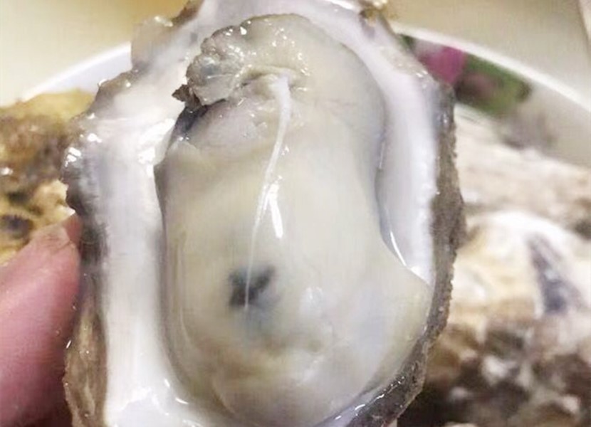 生蚝要这样吃才过瘾原视频,生蚝这样吃真的好吗