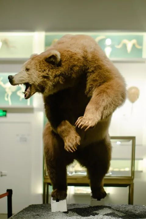 成都周边适合夜游的古镇,成都周边夜游网红地点推荐