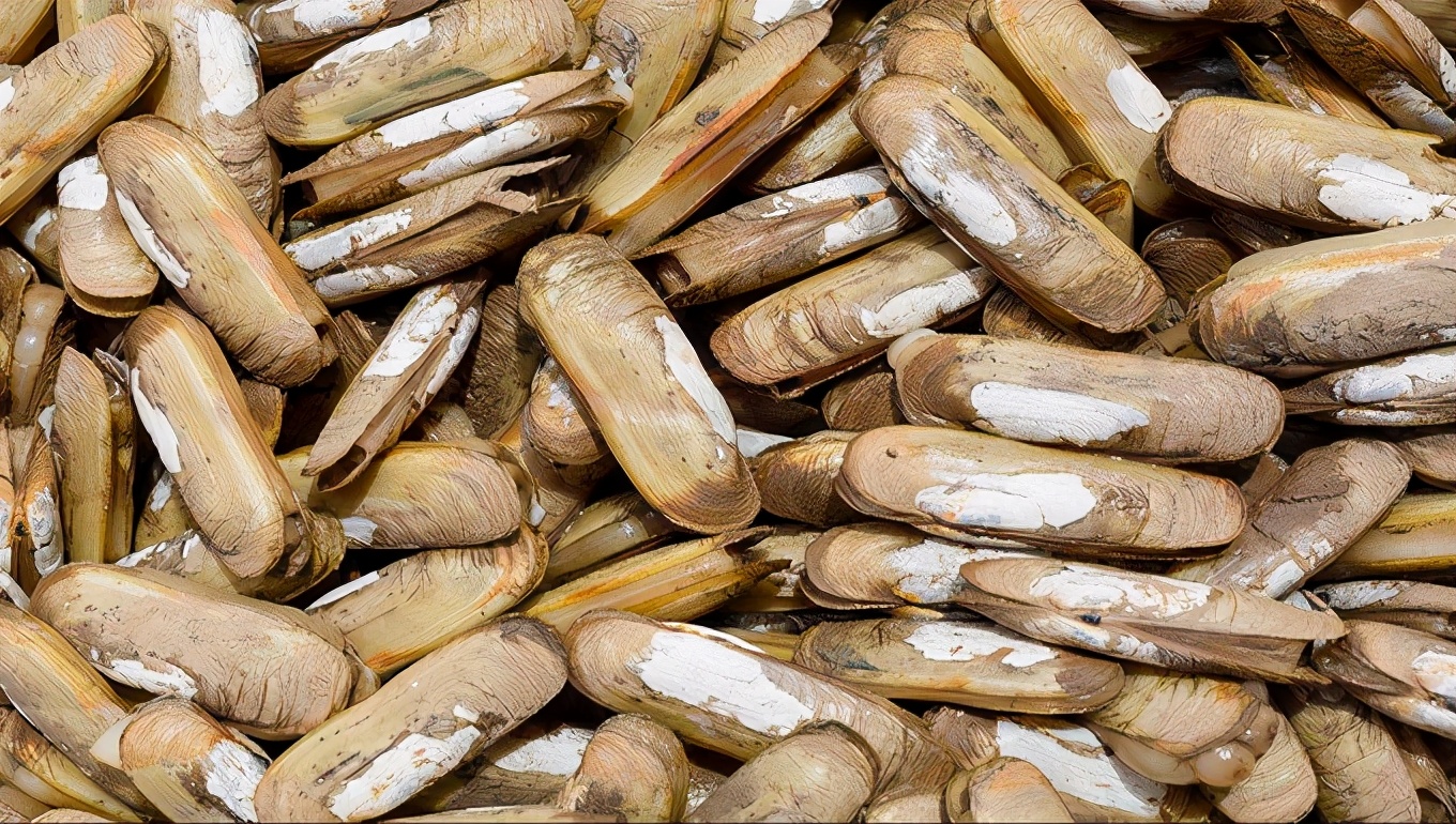 秦皇岛沉浸式旅游,秦皇岛自驾游体验