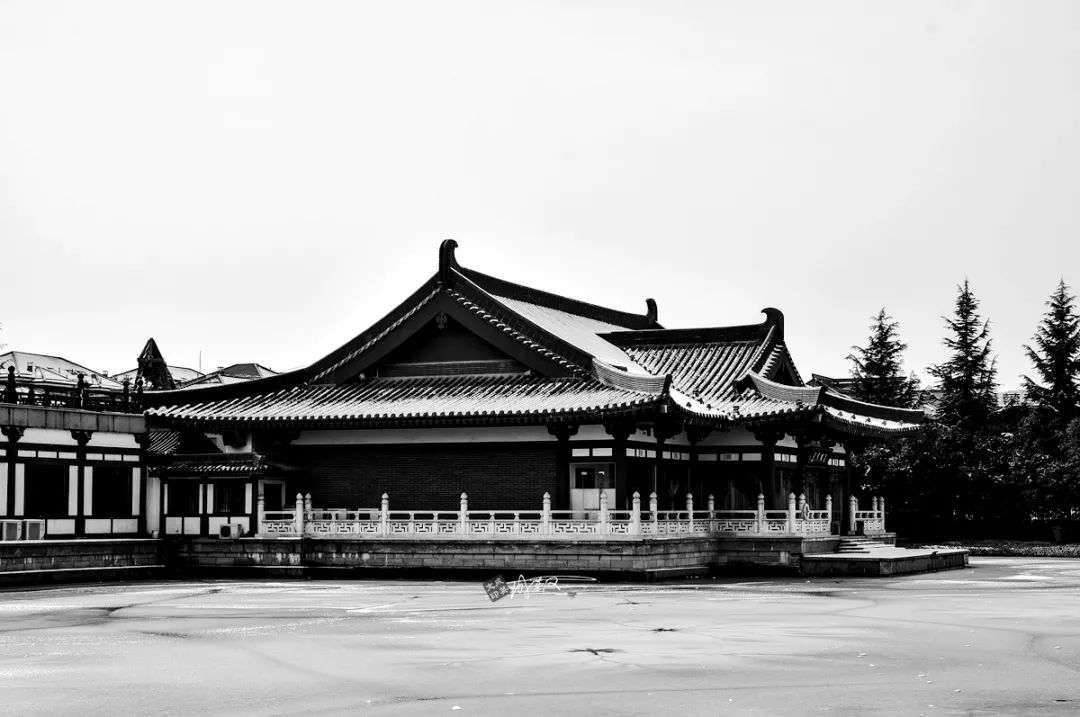 西安大唐芙蓉园门票65岁免票信息,大唐芙蓉园2024免票怎么预约