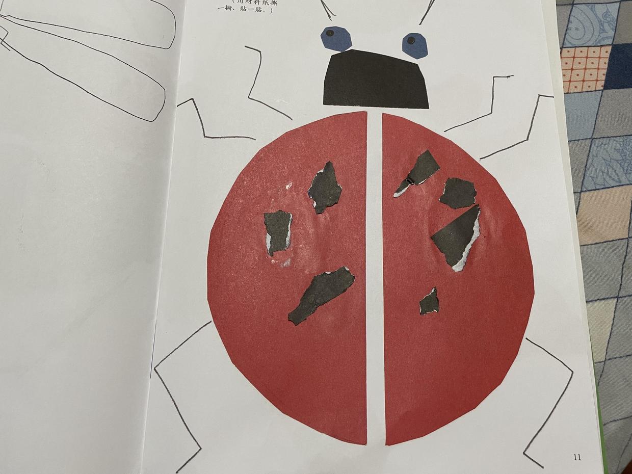 又到了给孩子择校的时节,又到了给孩子买书的季节