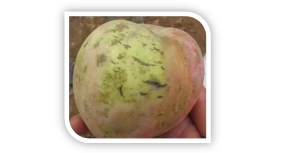 宝宝皴脸擦润肤霜还是保湿霜,润本防皴面霜补水保湿新生儿可用