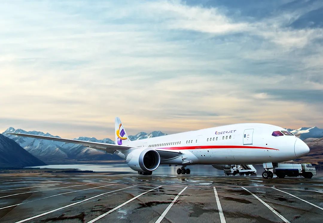 18万一张机票的那家航空公司，原来管着这么多富豪的飞机