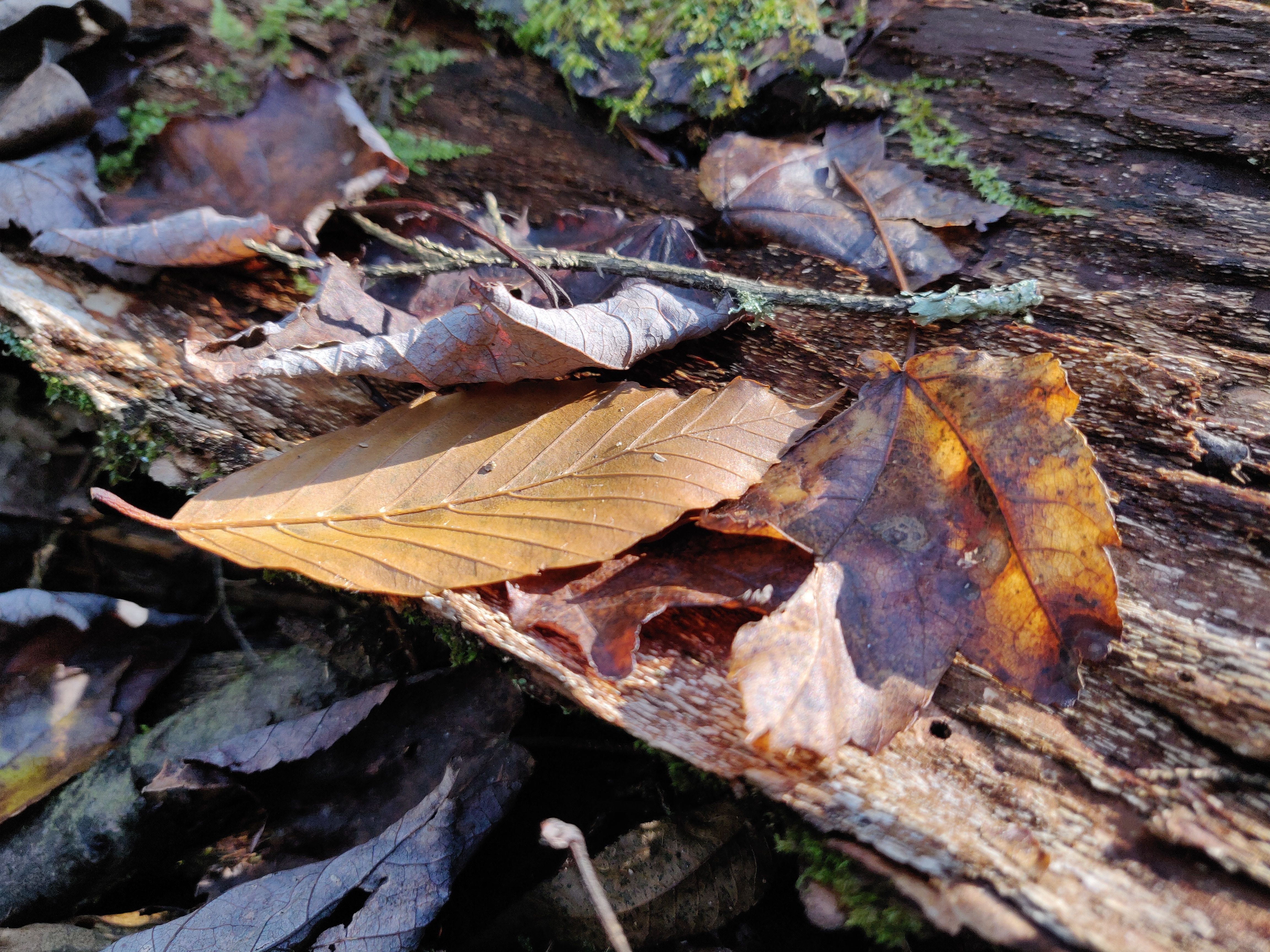 一加6t使用深度测评,一加6t屏幕指纹评测