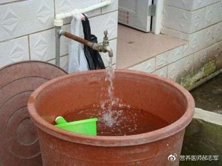 营养师海参,营养师谈海参