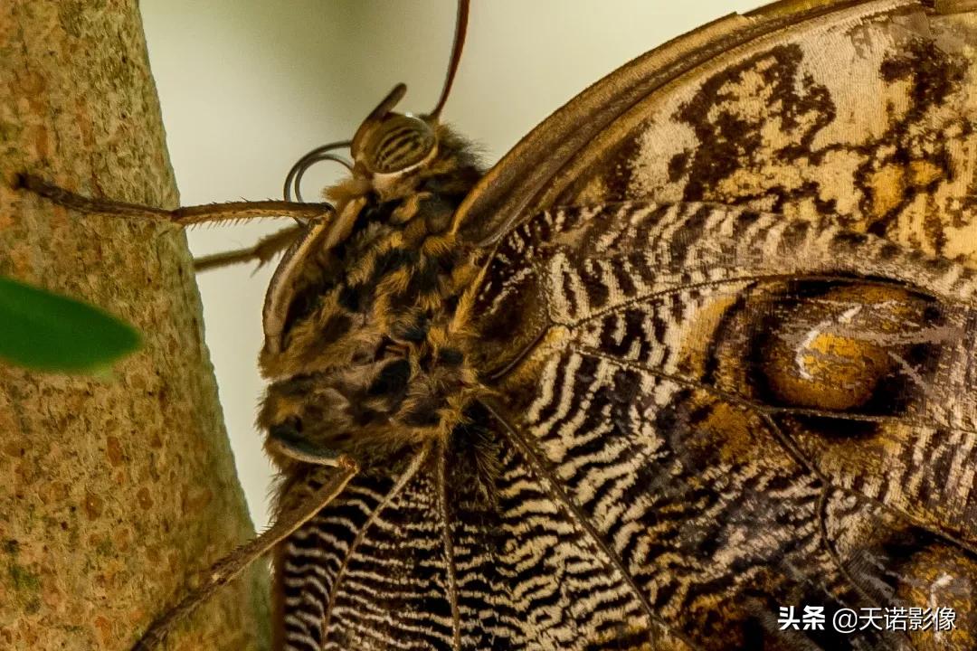 徕卡sl90-280拍人像,徕卡sl24-90镜头与24-70镜头比较